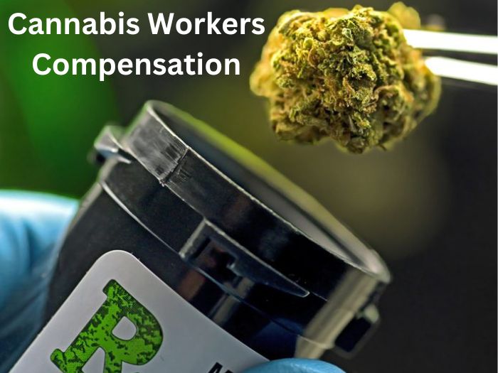 Cannabis Workers Compensation